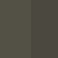 ns-forestkhaki-darkforestkhaki